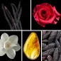 Preview: Duftnoten: Vanille, Rose, Magnolie, Bernstein, Tonkabohne Preview: Duftnoten: Vanille, Rose, Magnolie, Bernstein, Tonkabohne